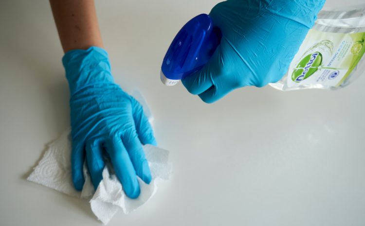 Expert Germaphobes Explain How to Clean Properly During Pandemic